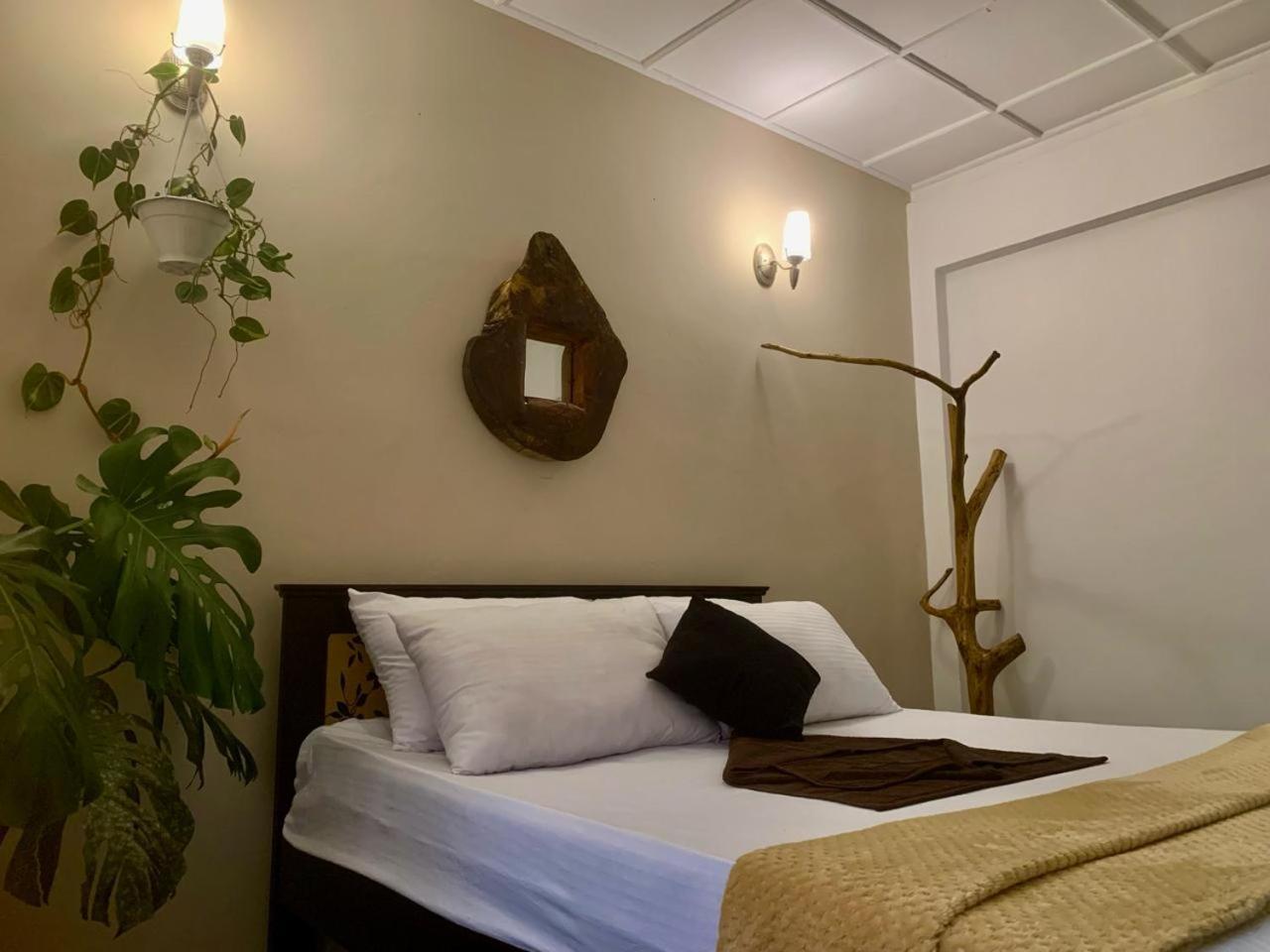 Ella Gypsies Hostel Ngoại thất bức ảnh